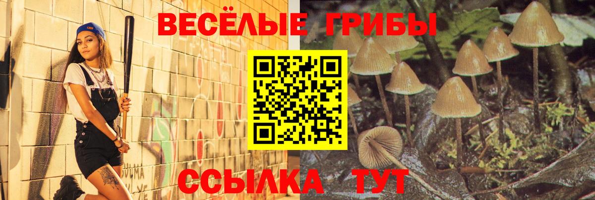Карпинск  Галлюциногенные грибы ЛСД  Вход с VPN 